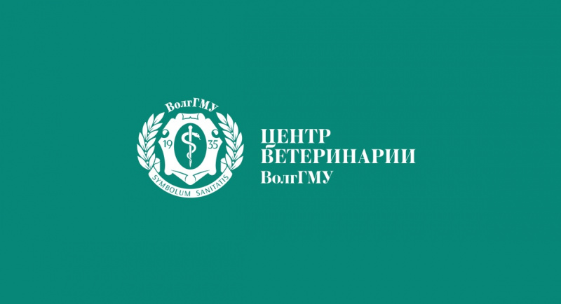 Как защитить питомца от клещей?